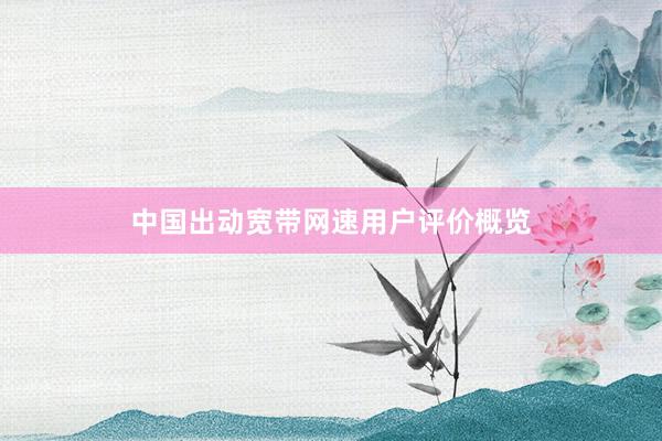 中国出动宽带网速用户评价概览