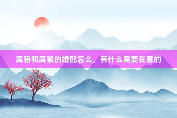 属猪和属猴的婚配怎么，有什么需要在意的
