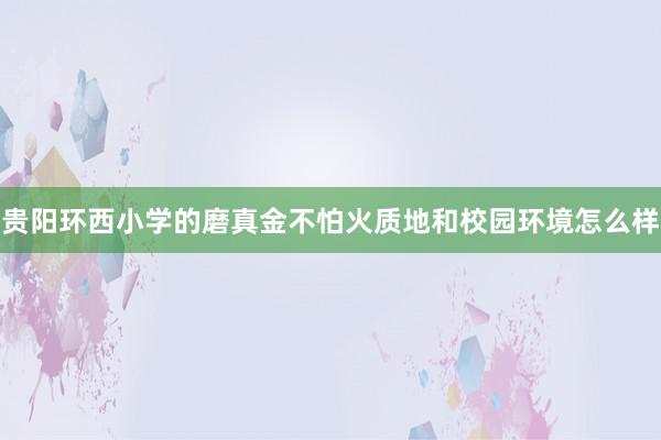 贵阳环西小学的磨真金不怕火质地和校园环境怎么样
